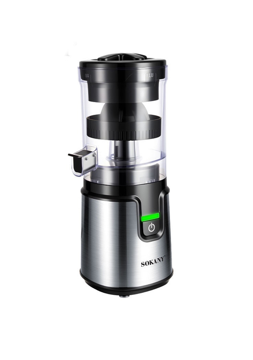YODOIT Stainless Steel Electric Juicer