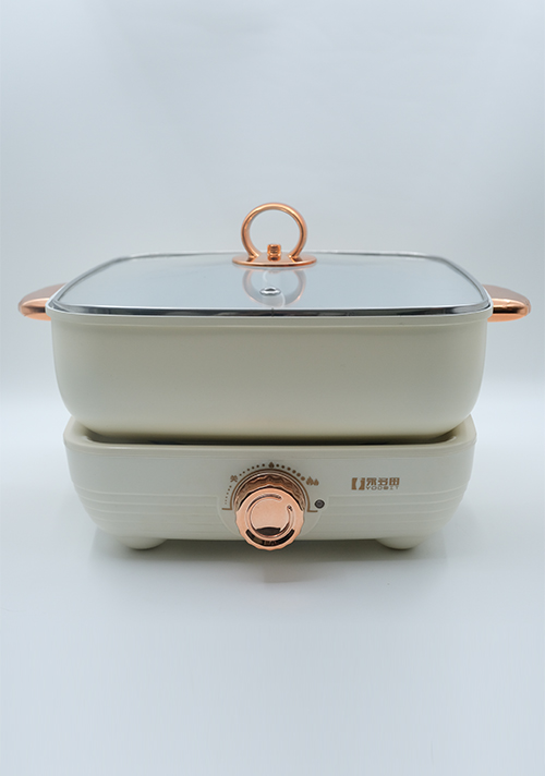 YODOIT Cream-Colored 5L Detachable Dual-Flavor Electric Hot Pot (1600W)
